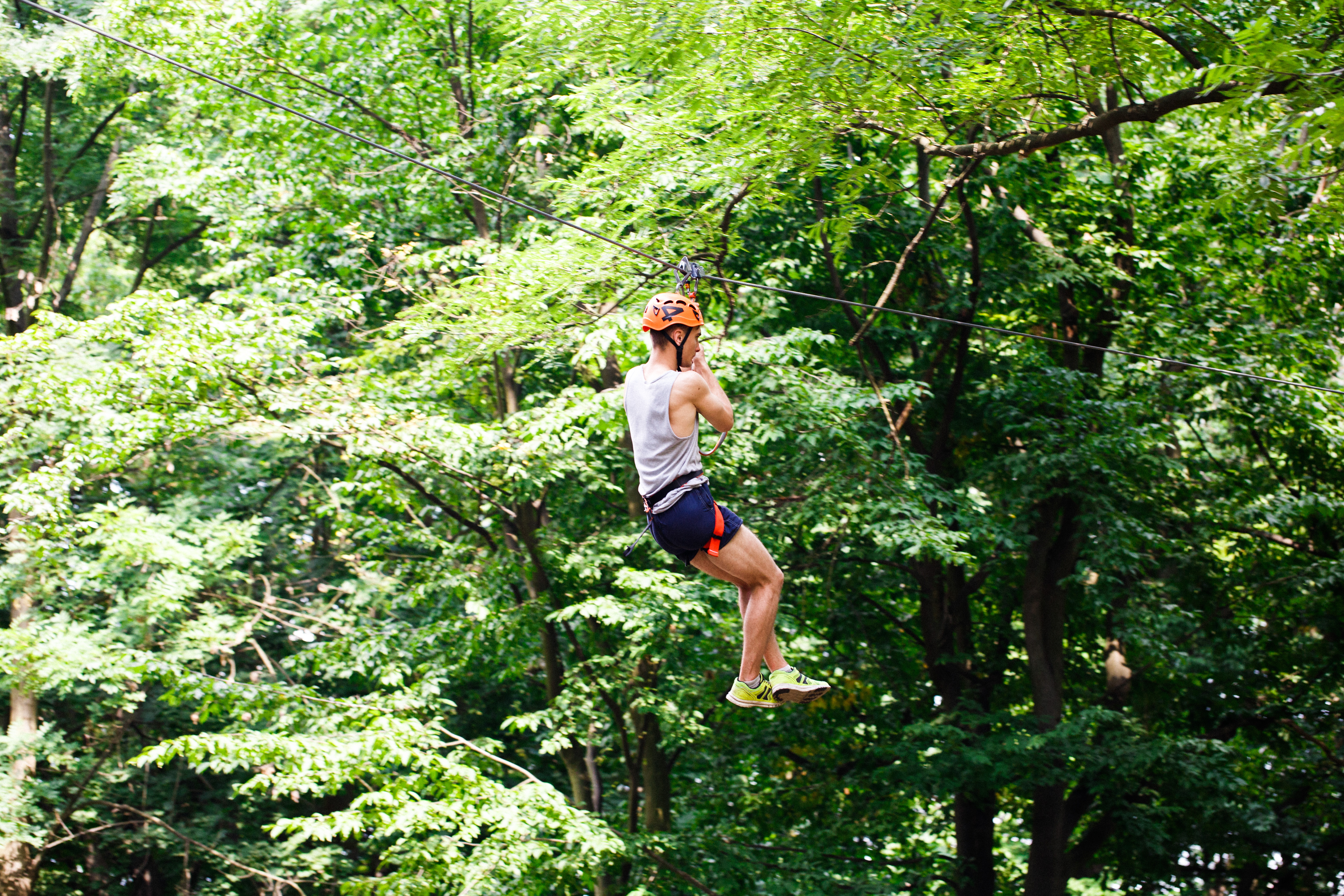 Flying Fox