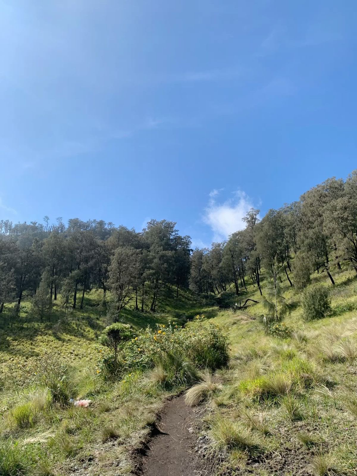 Gunung Lawu 3265 MDPL
