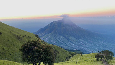 Gunung Merbabu 3145 MDPL